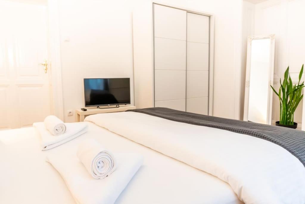 Central and Comfy 2BDR apartment near Parliament - Ferienwohnung Belgrad