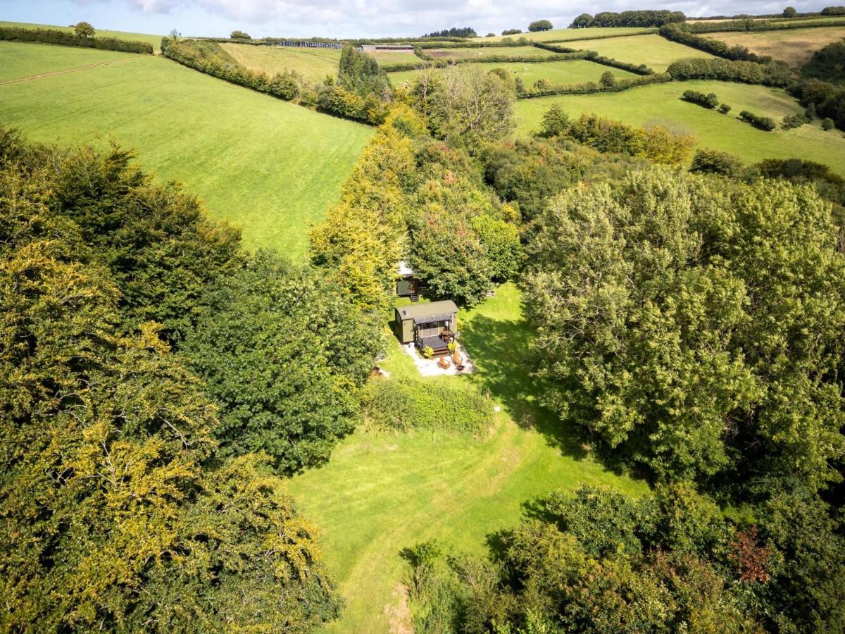 Red Deer Escape - Bed and Breakfast Wheddon Cross