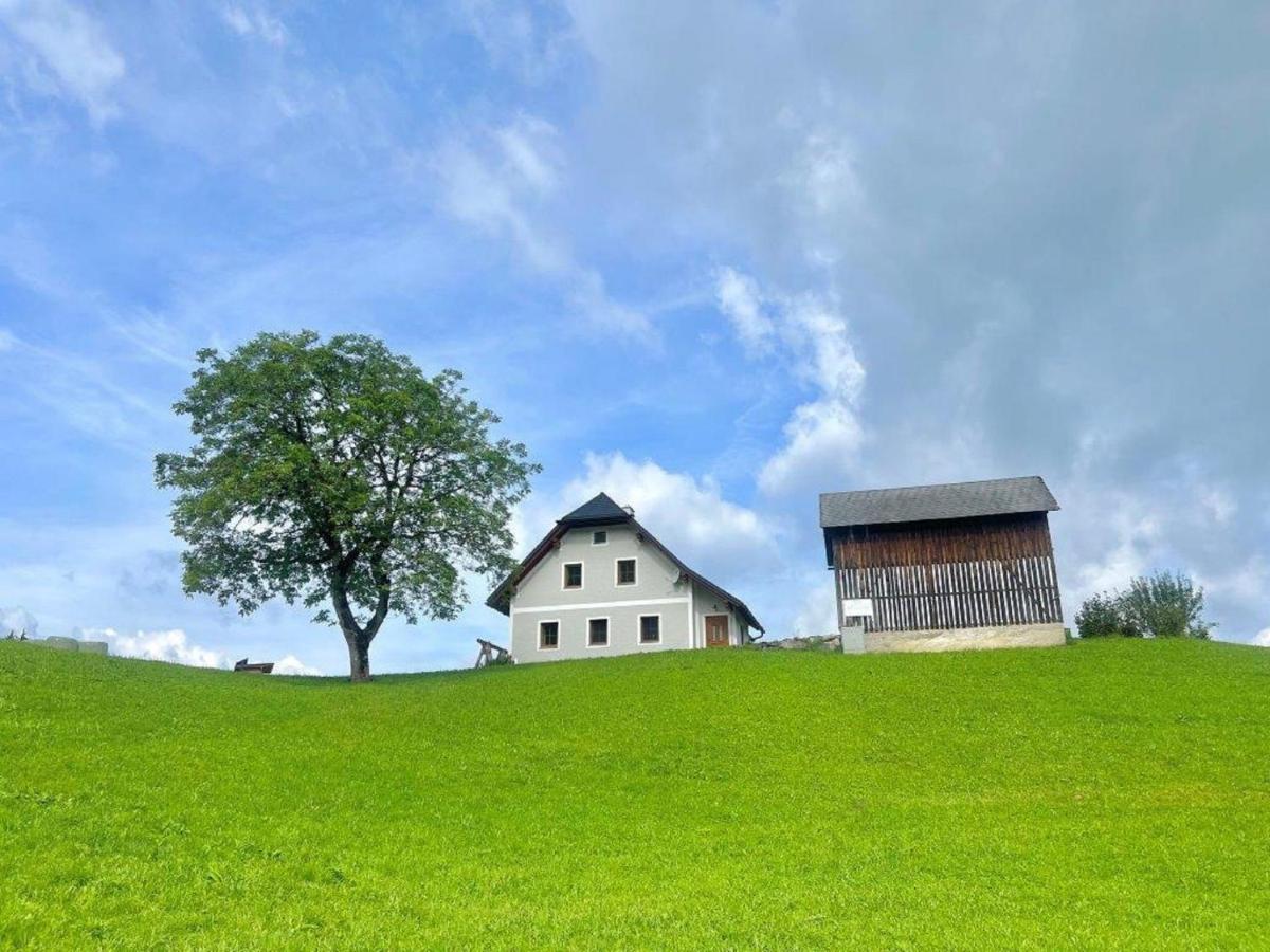 Ferienwohnung Hochtal - Ferienwohnung