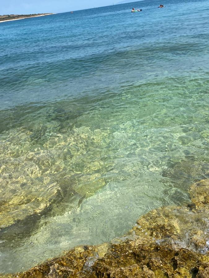 Apartment Rustic Jolly - B&B Premantura