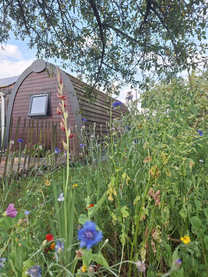 Swifterlodge - Bed and Breakfast