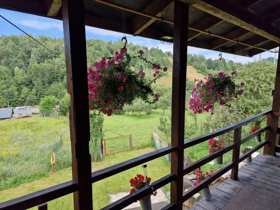 Beskidzka Oaza - B&B