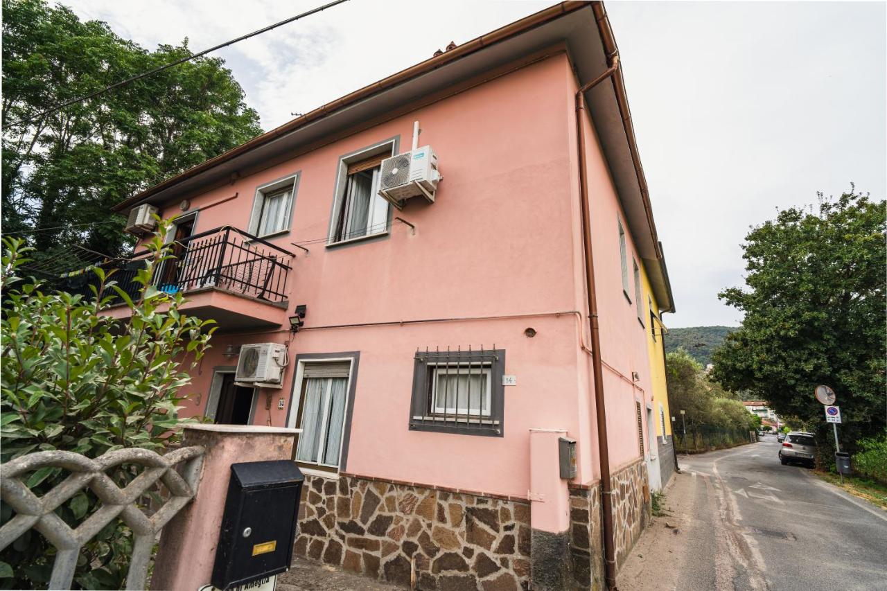 Ameglia & 5 Terre Cozy Flat - B&B