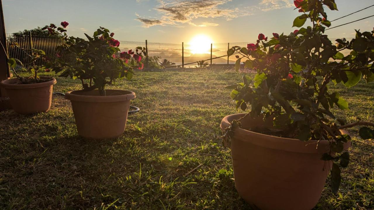 Faaa Airport Garden Bungalow - B&B