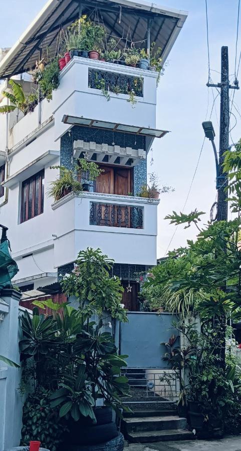 Dion Homestay - Chambres d’hôtes