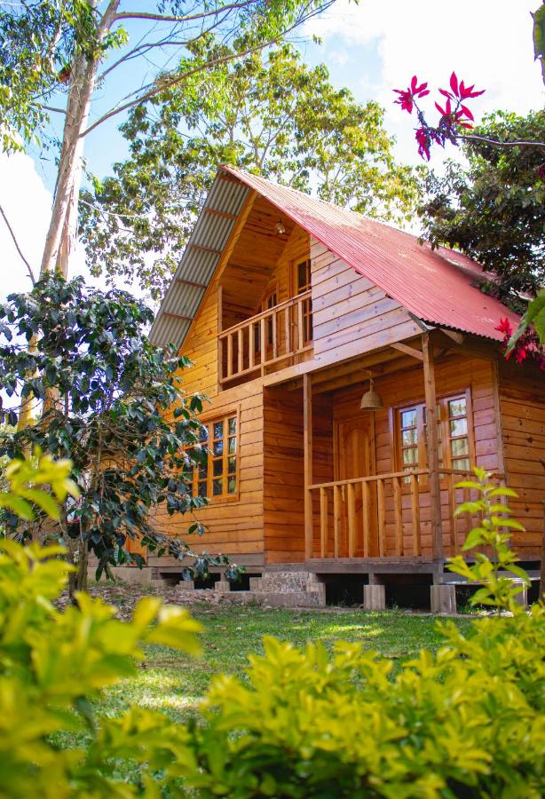 Palo Alto Lodge - Ferienwohnung