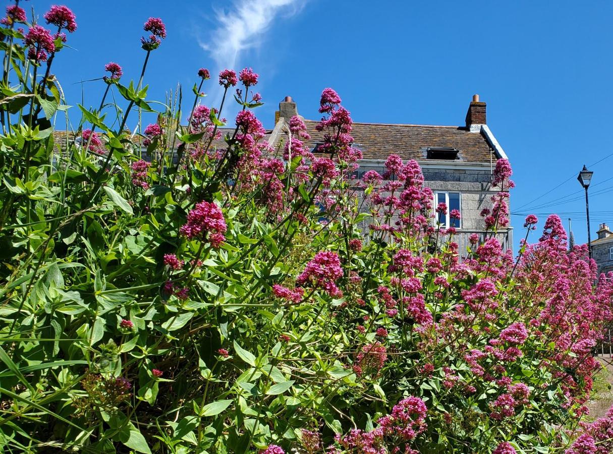 Sea View Cottage - B&B