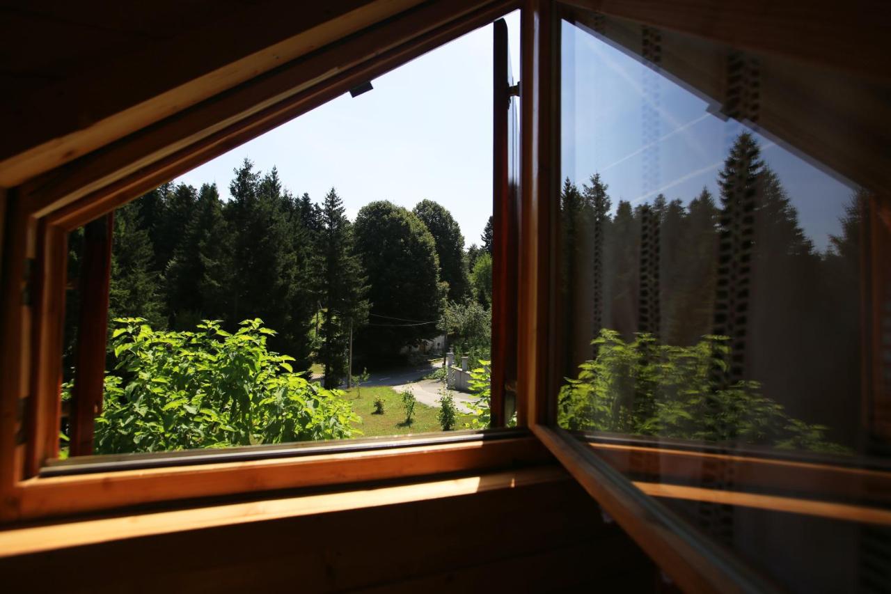 Brvnara Moj san - Log cabin My Dream - Bed and Breakfast Zelin Mrzlovodički