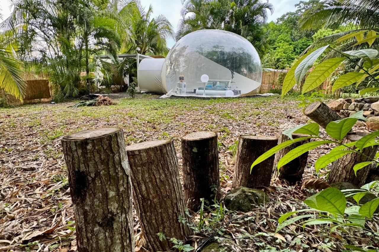 Nuit insolite dans une bulle avec spa privatif en Martinique! - Bed and Breakfast
