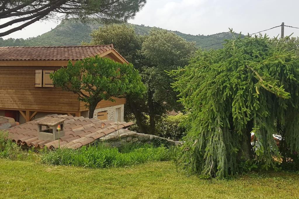 A l'ombre du chêne Gîtes Eden en Cévennes Anduze - B&B