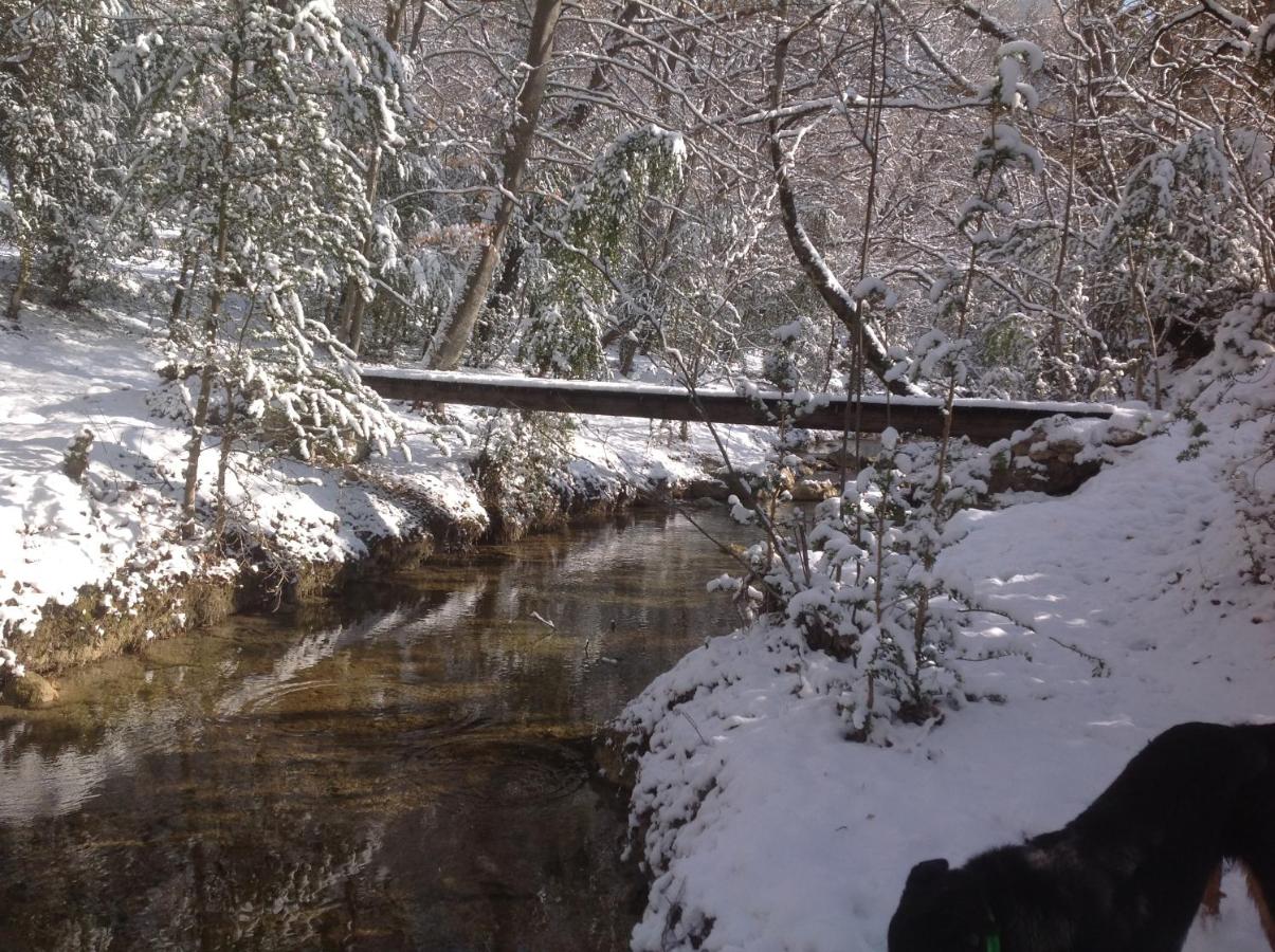 Junior Suite Figuier con Terrazza e Vista Parco