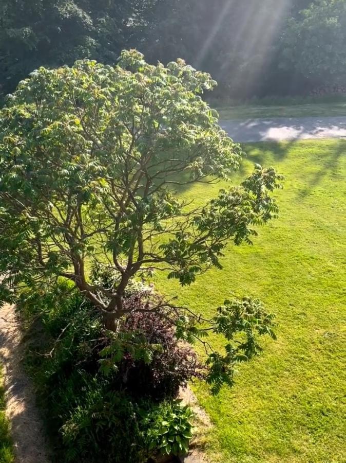 Apartman na konci světa Hřensko - Ferienwohnung Hřensko