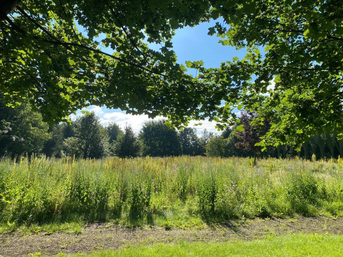 NEU! Luxus Apartment - Ferienwohnung Salgen