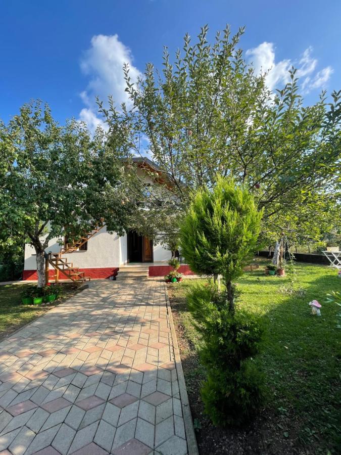 Riza Guest House - B&B