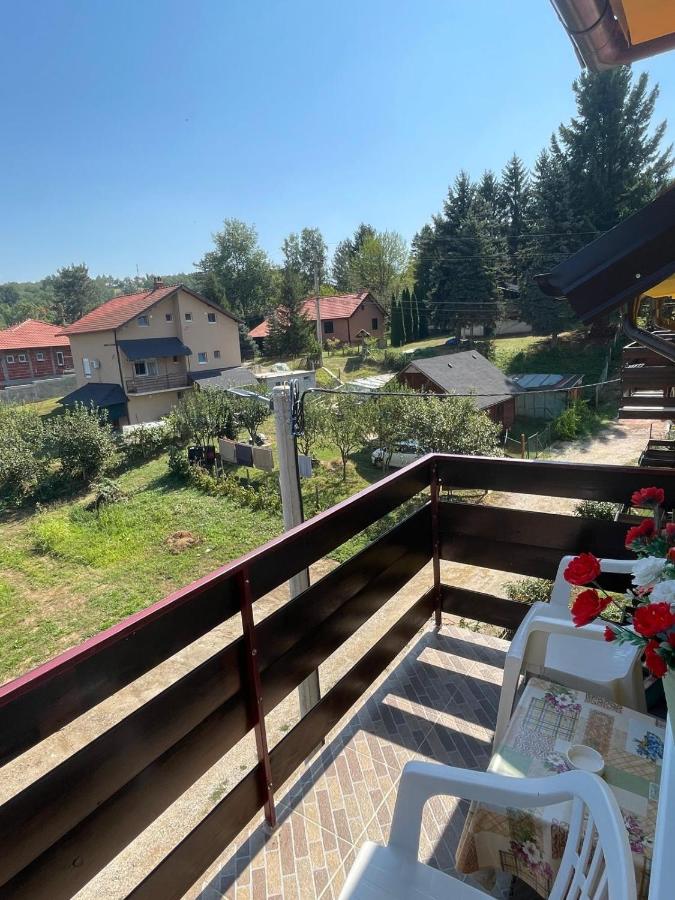 Vila Mir Banja Vrujci - B&B
