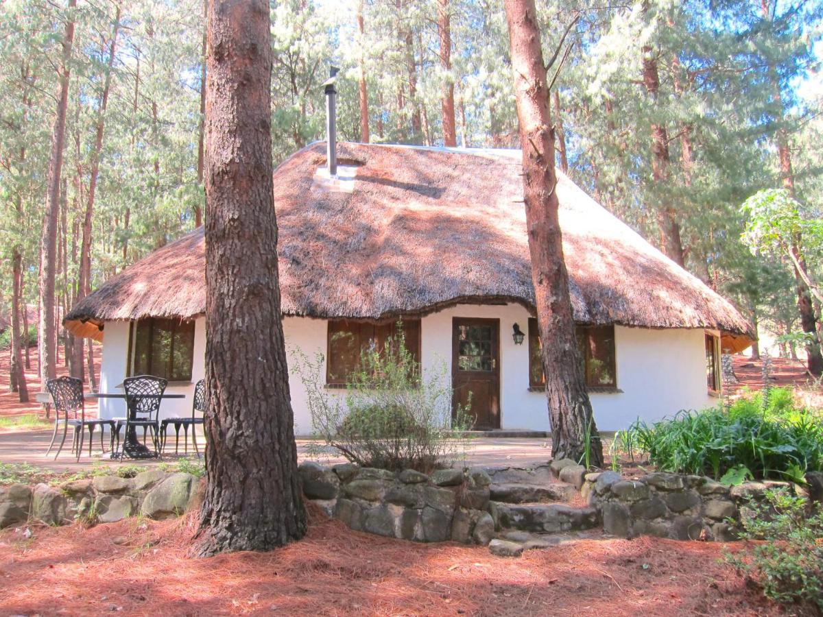 Giantscup Wilderness Reserve - Bed and Breakfast