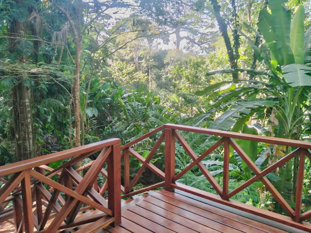 Villa Colibri - Secluded Jungle Villa - Short Stroll to Beach, Shops & Restaurants - Bed and Breakfast