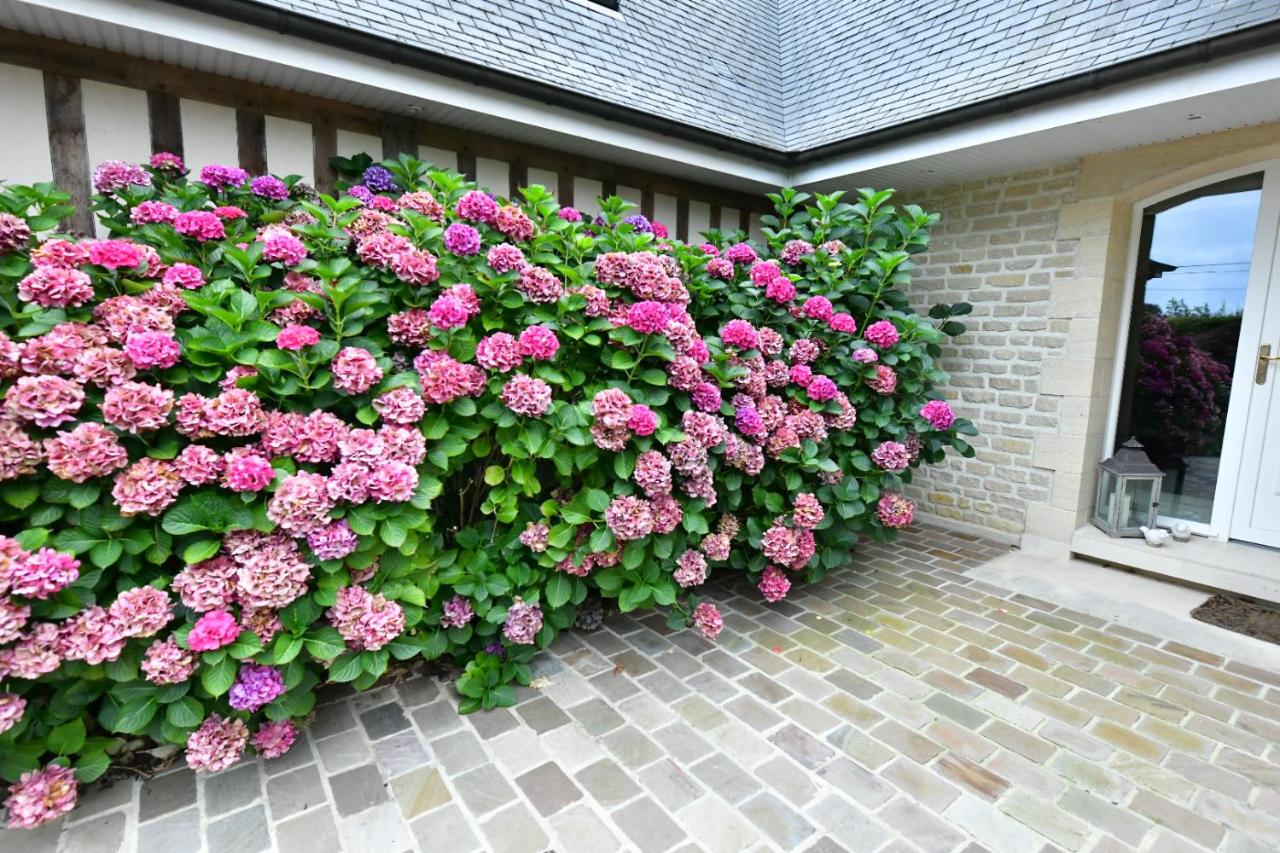 Au Milieu des Haras - B&B