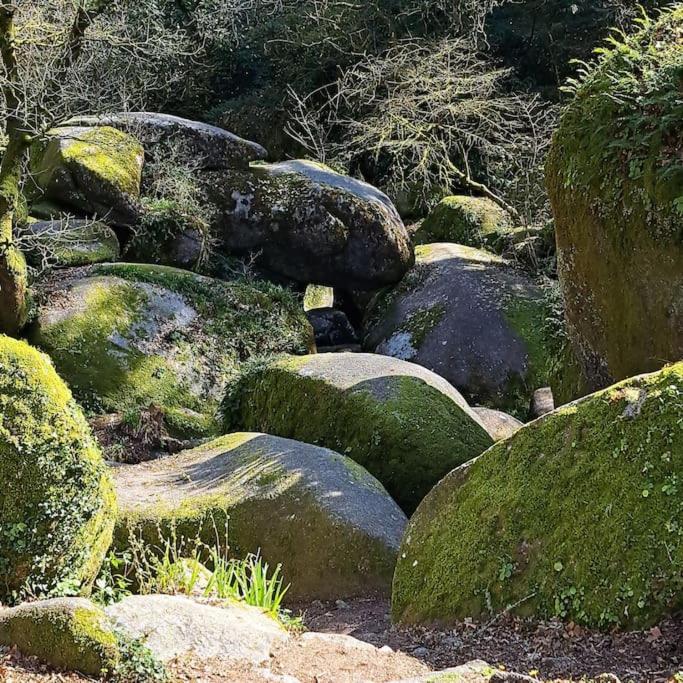 Grande maison au coeur de la Bretagne - B&B Huelgoat