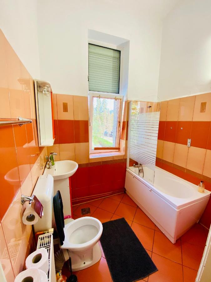 Central 2 bedrooms apartment - Chambres d'hôtes Braşov