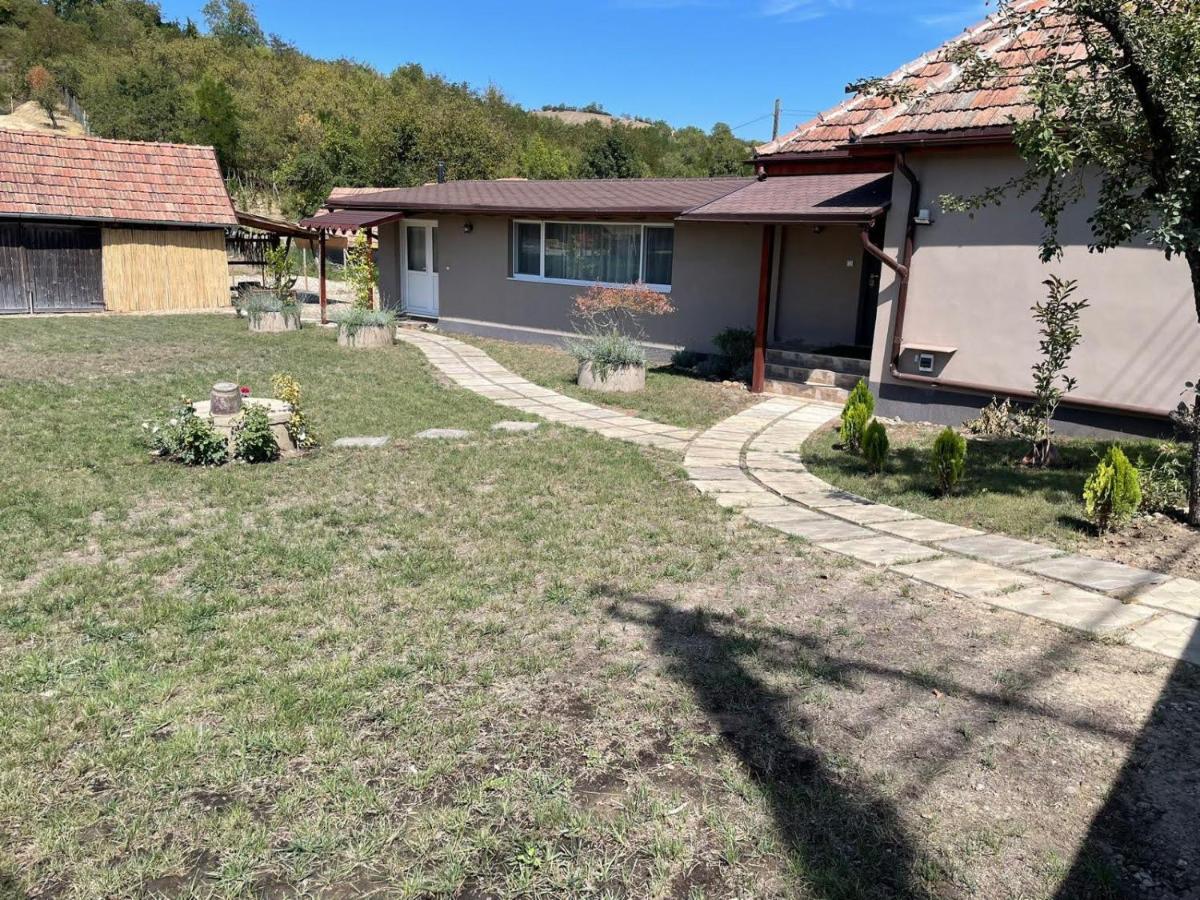 MOGA House - B&B Târnăveni