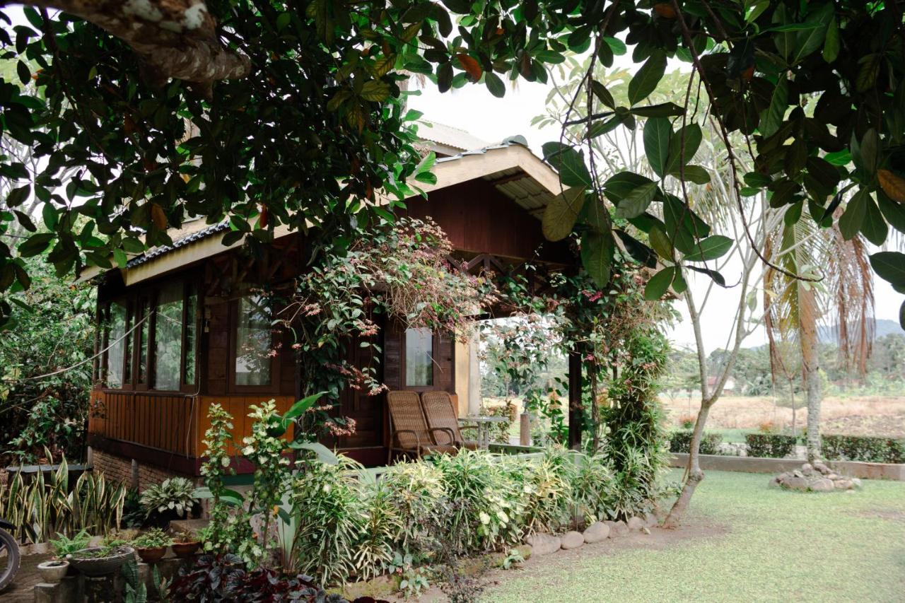 AMBOW Homestay Jungle Trekking & Village Tour - B&B Bukit Lewang