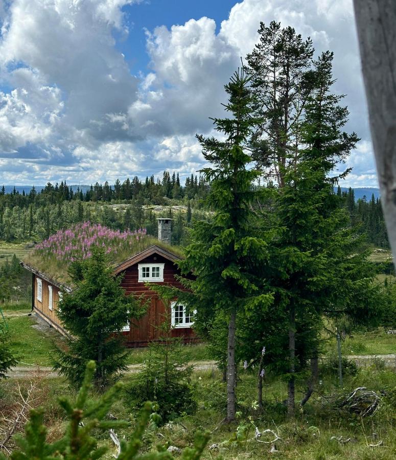 Løstegård hytter at the top of Golsfjellet - Ferienwohnung Gol