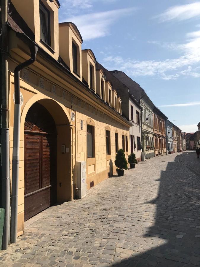 Cozy Central Studio Brasov - B&B Braşov