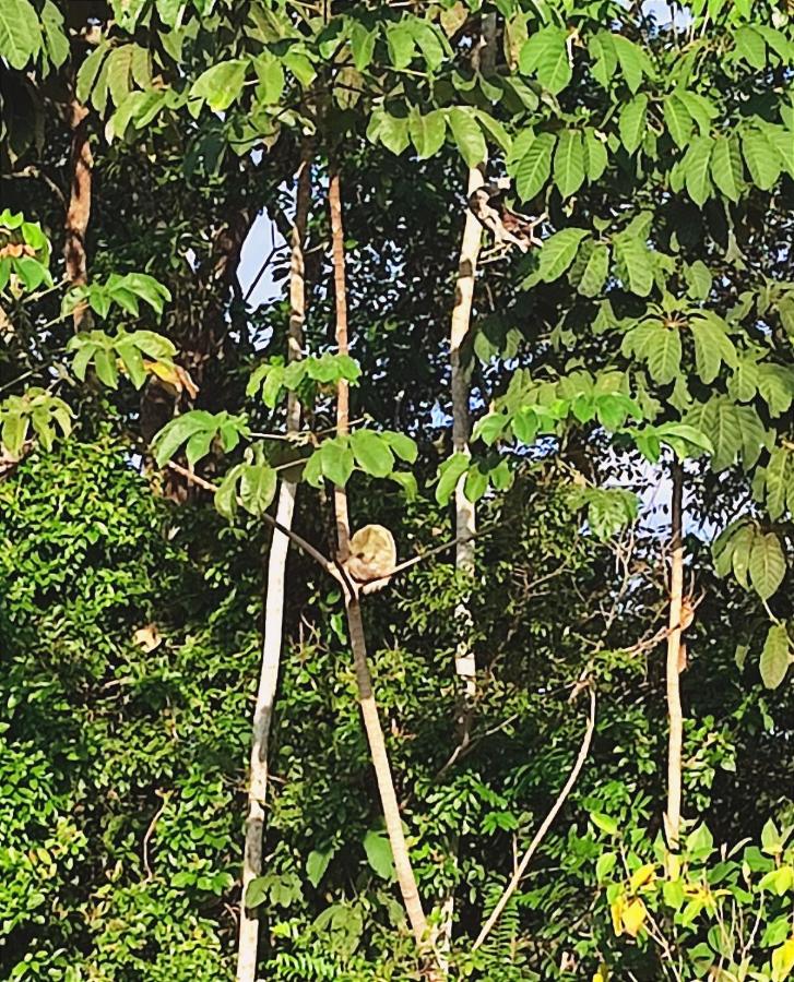 Camera Matrimoniale con Terrazza