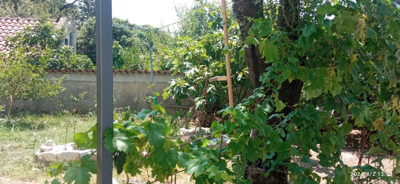 Apartmani Isabela sa vrtom - Chambres d’hôtes Sutomore
