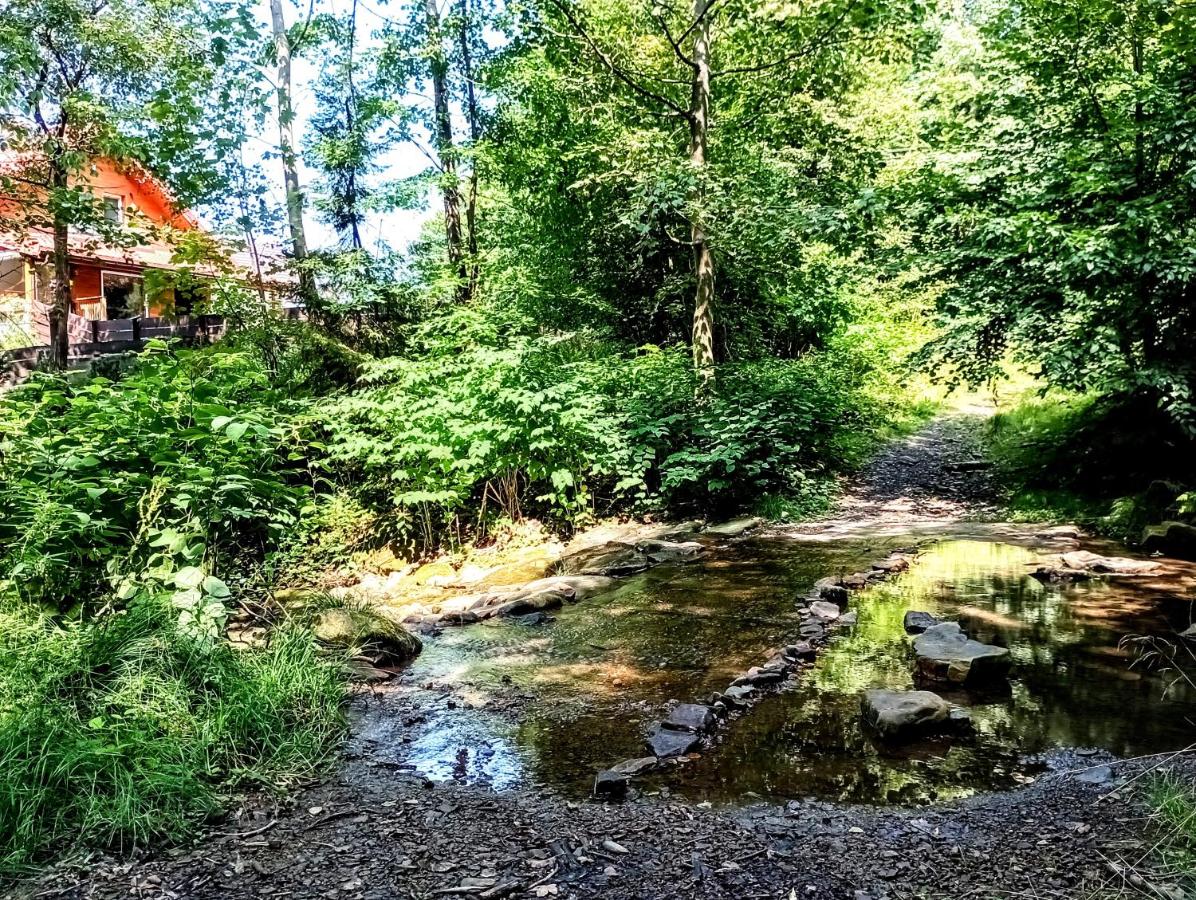 Przystanek Leśna - B&B Targanice