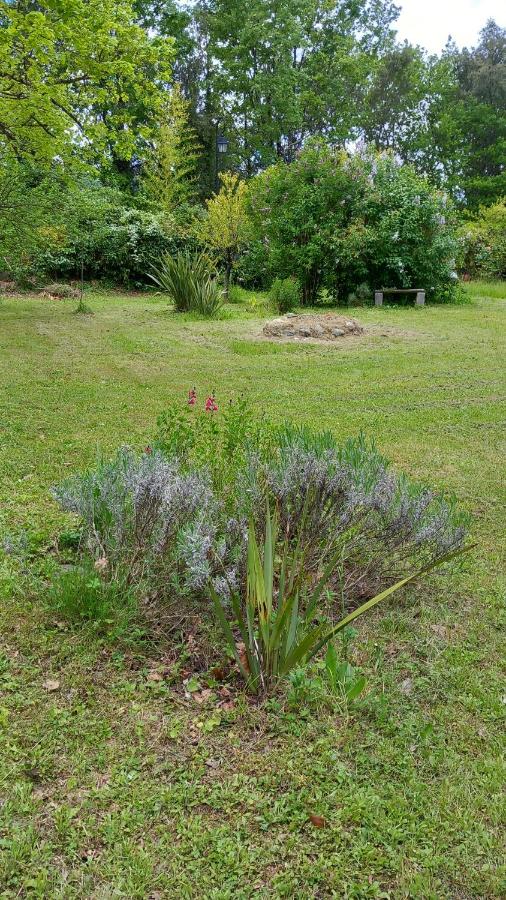 A l ombre des tilleuls - B&B
