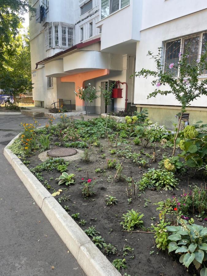 Art House Telecentru - B&B