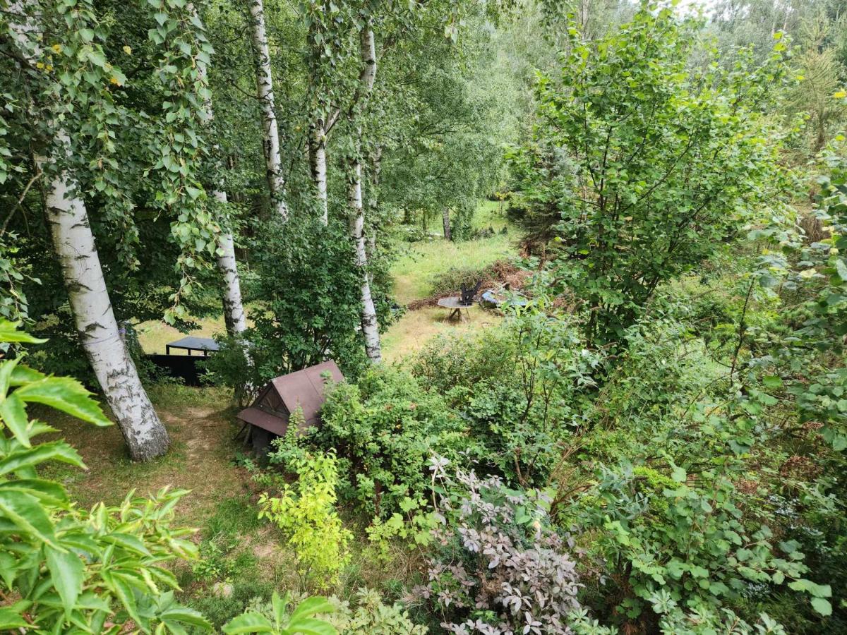 Wilcza Poręba Apartament - B&B Karpacz