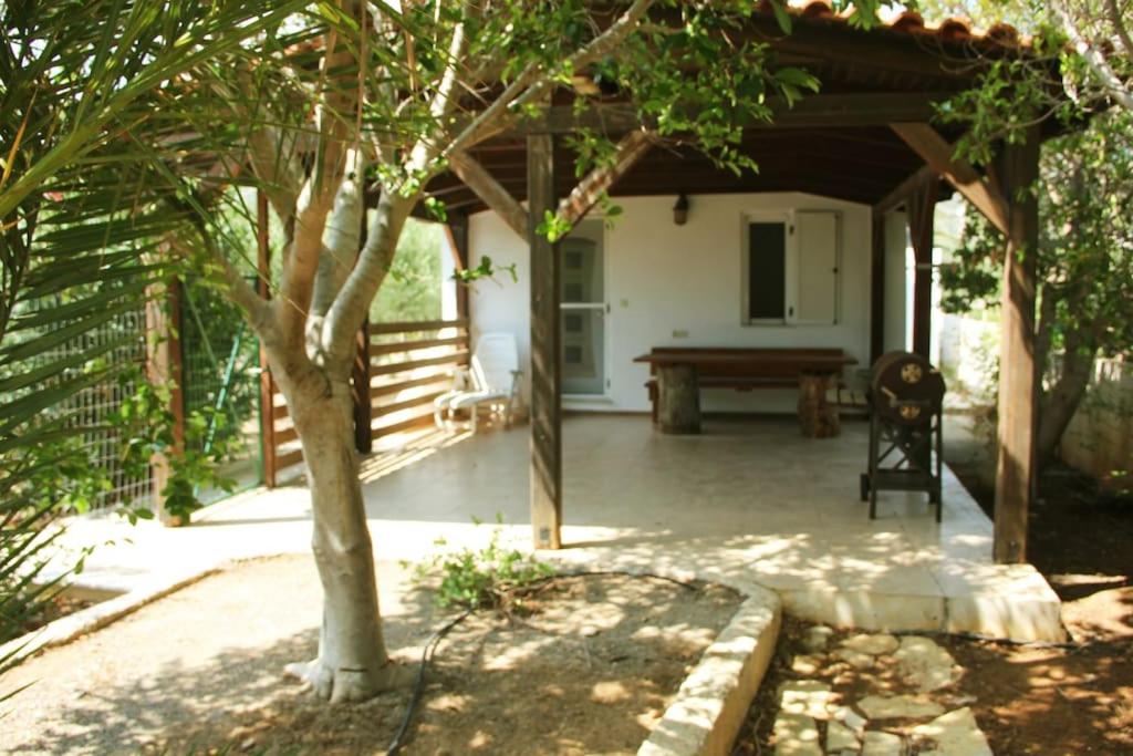 House with garden ON beach - Ferienwohnung Koutsounari