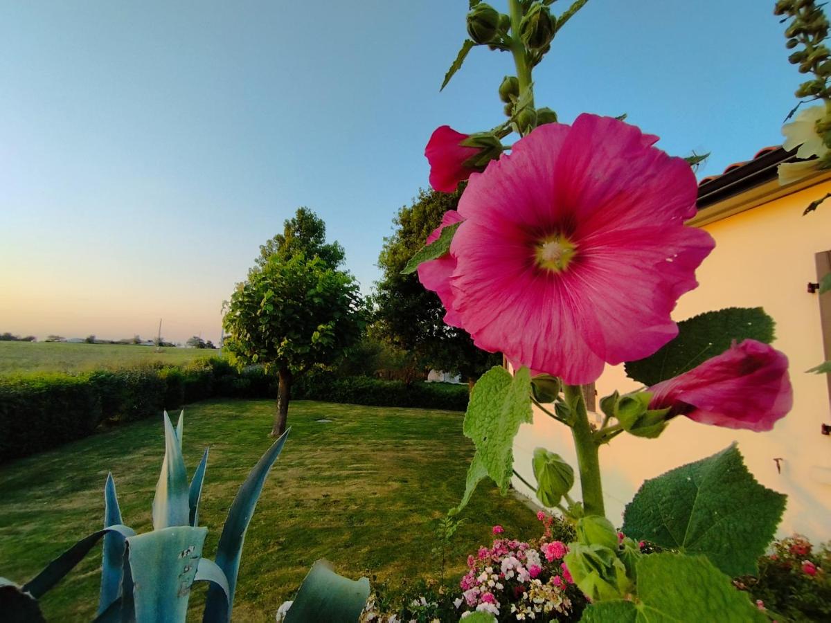 Le Gite de L'Ogerie - Petit Gite à 15 min du Puy du F - B&B