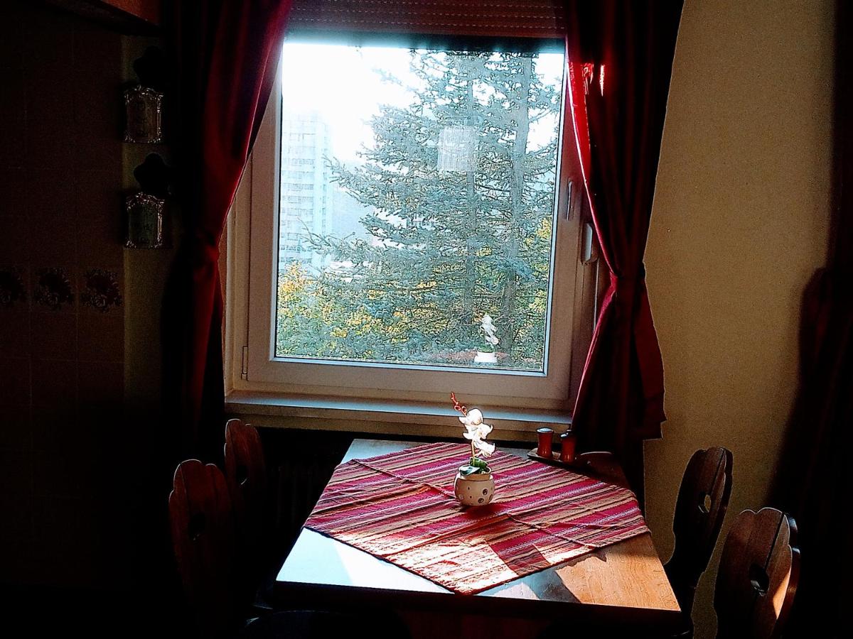Ferienwohnung ENDORA im Harzer Stil, Handgefertigte Möbel - WLAN-GARAGE - B&B Hohegeiß