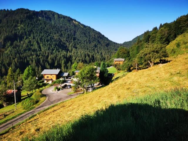 Chalet luxe à proximité de Morzine - Ferienwohnung La Côte-d'Arbroz