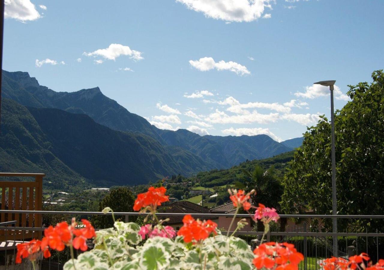 Valsugana, Lagorai, Laghi, Arte Sella - B&B
