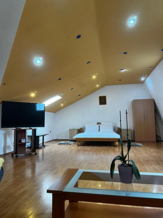 Apartament central Timisoara - B&B