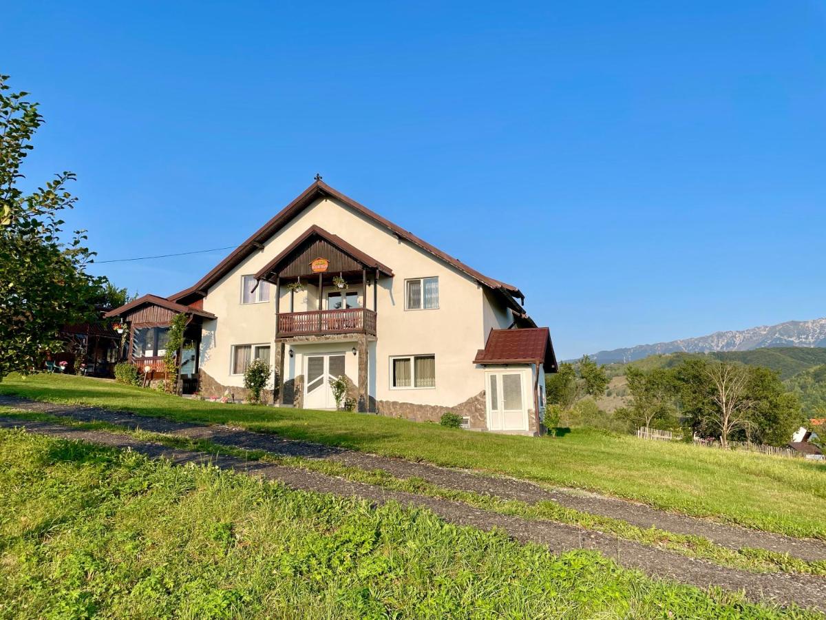 Casa Elena - vedere la munte - Bed and Breakfast