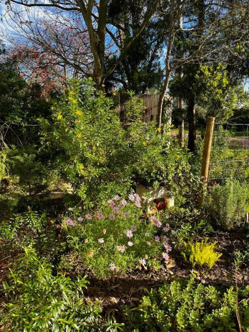 Mouse House Greyton - tiny home living - Ferienwohnung
