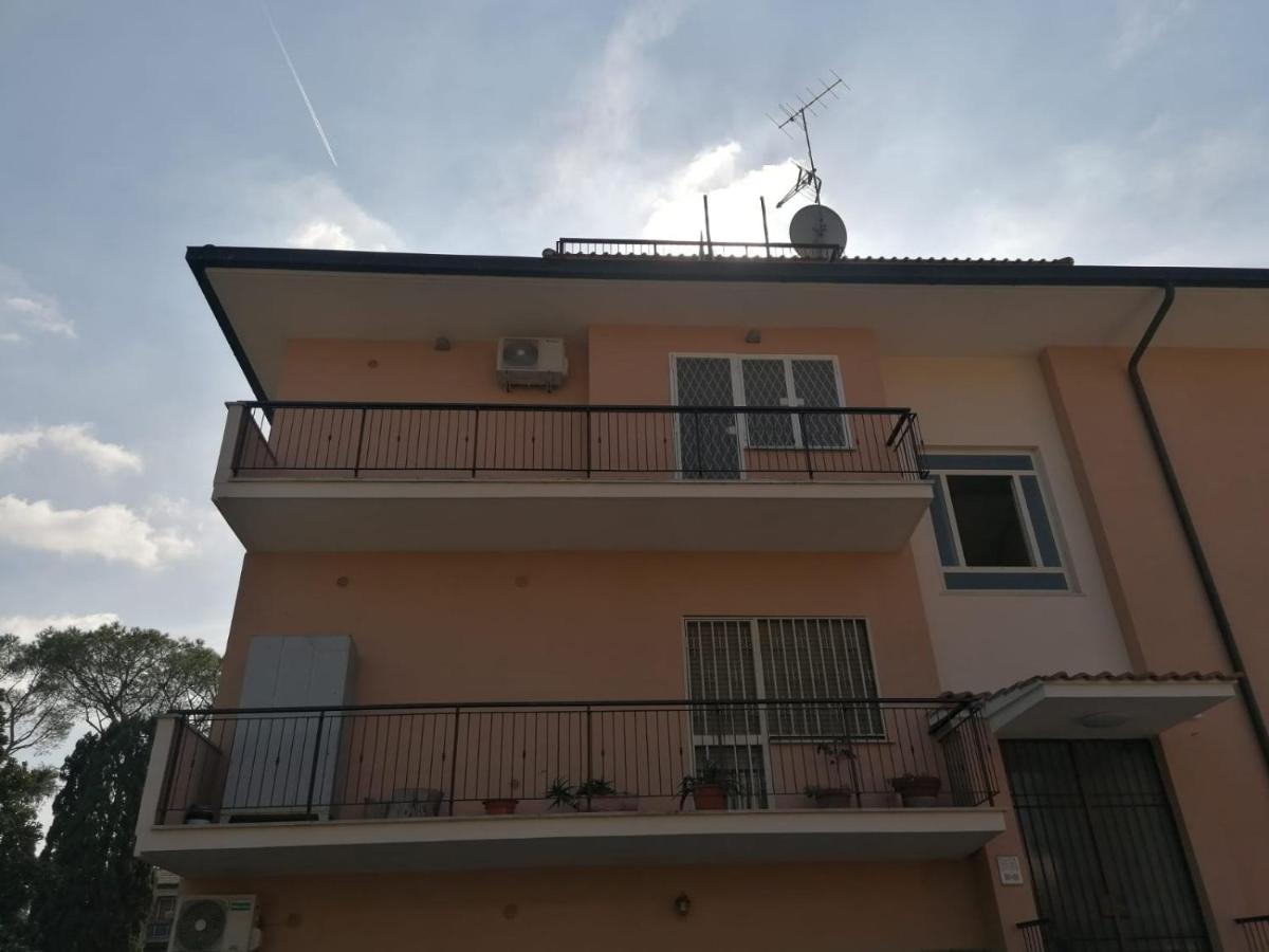 Pictadomus-viridis - B&B Roma