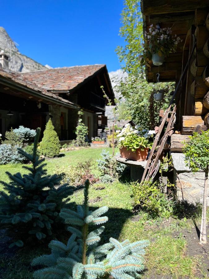 Chalet Blanc Le Duplex - B&B Courmayeur