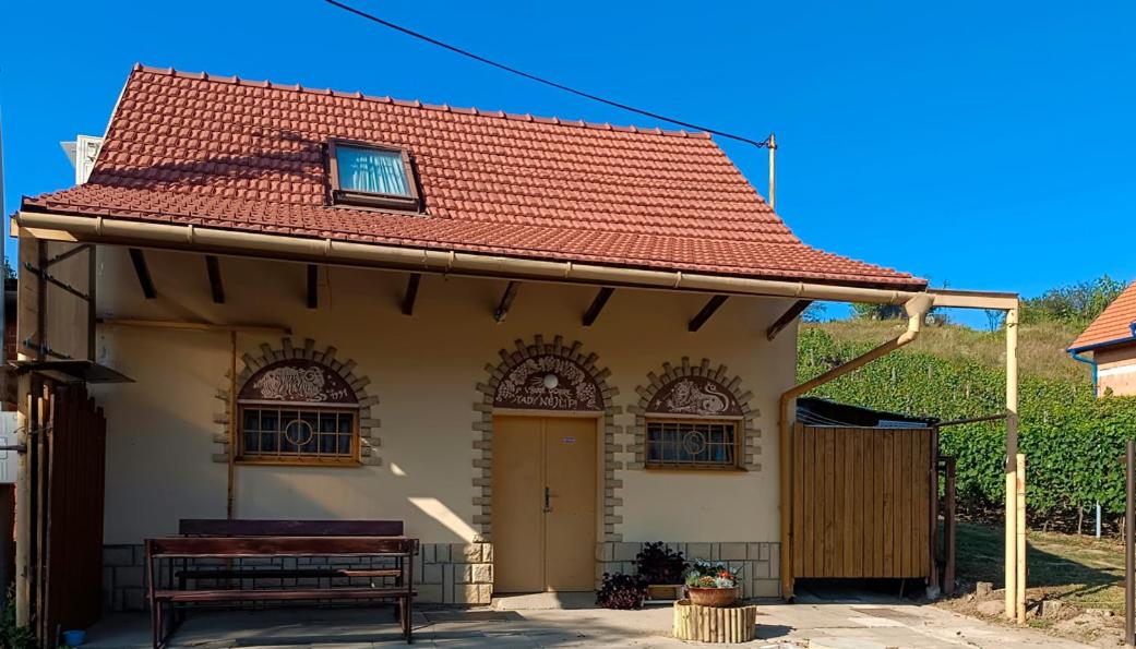 Sklípek pod vinohrady Mutěnice - rychlá WIFI - Chambres d’hôtes