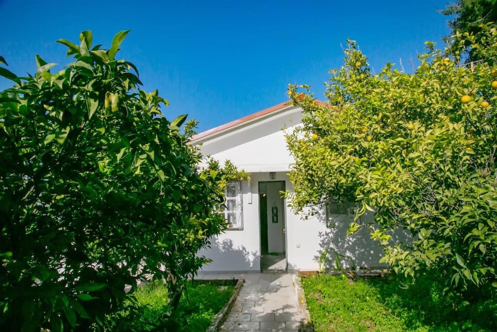 Kalamos sea view villa Beach walking distance - B&B