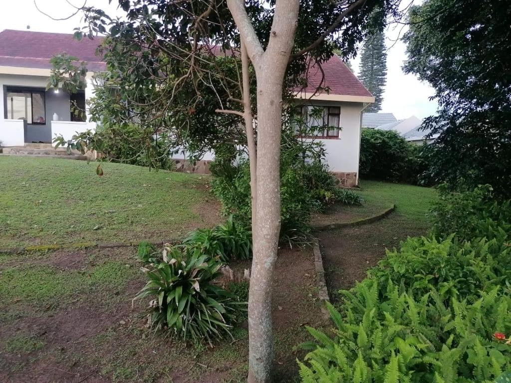 The Little House by the Sea - Ferienwohnung Port Edward