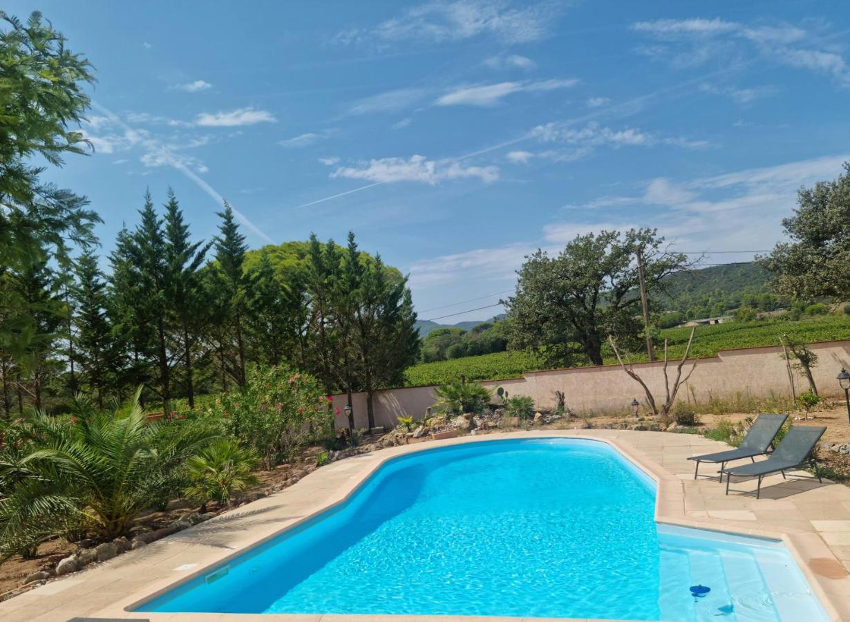 Chambre face aux vignes - B&B