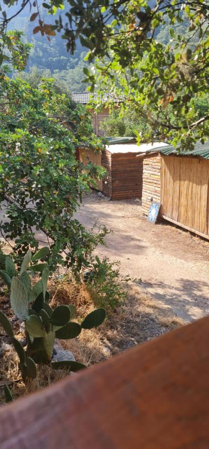 Kabak Nova Camp Bungalovs - B&B