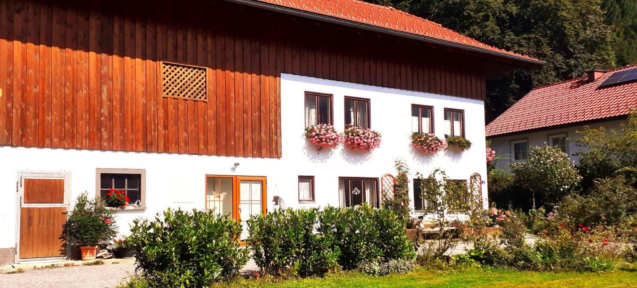Meine Zeit Ferienwohnung - Ferienwohnung